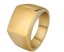 Pánský prsten vlastní motiv J2227 5