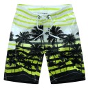Pantalones cortos de playa para hombre con palmeras J2762 8