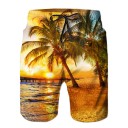 Pantalones cortos hawaianos para hombre 2