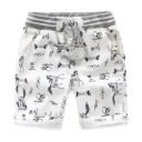 Pantalones cortos para niños N711 3