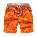 Pantalones cortos para niños N711 6