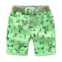 Pantalones cortos para niños N711 4