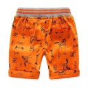 Pantaloni Corti Bambini N711 2