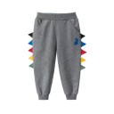Pantaloni de trening pentru băieți L2232 9