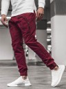 Pantalons pour hommes F1546 3