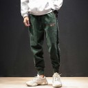 Pantalons pour hommes F1605 2