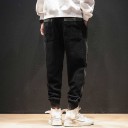 Pantalons pour hommes F1605 2