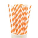 Paper Straws 50 pcs N961 3
