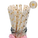 Paperipillit 25 kpl 10