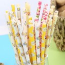 Paperipillit kukilla 25 kpl 1
