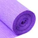 Papier crépon coloré 250 × 50 cm crépon décoratif pour la création d'emballages cadeaux et l'arrangement de fleurs 22