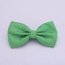 Papillon da uomo T1300 11