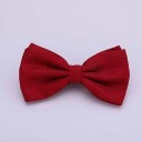 Papillon da uomo T1300 3