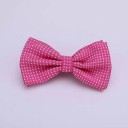 Papillon da uomo T1300 4