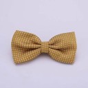 Papillon da uomo T1300 8