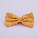 Papillon da uomo T1300 9