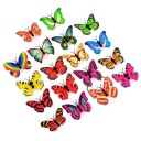 Papillon lumineux mural 7