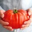 Paradajka Supersteak mäsité semená zeleniny ľahké a rýchle pestovanie veľké okrúhle paradajka až 1 kg semienka 10 ks 2