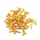 Parafusos 3 x 12 mm para montagem de placa de guitarra 50pcs Parafusos metálicos de montagem para pickguard e capas Guitarras eléctricas 3