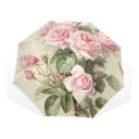 Parapluie Femme T1381 1
