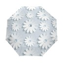Parapluie Femme T1412 9