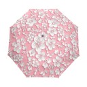Parapluie Femme T1412 10