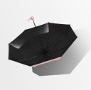 Parapluie T1372 3