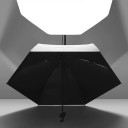 Parapluie T1373 4