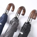 Parapluie T1378 1