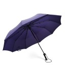 Parapluie T1384 3