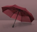 Parapluie T1386 5