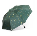 Parapluie T1387 5