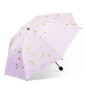 Parapluie T1387 6