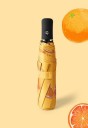 Parapluie T1390 6
