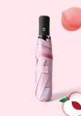 Parapluie T1390 4