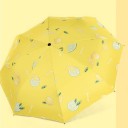 Parapluie T1390 2