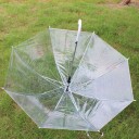 Parapluie transparent 4