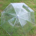 Parapluie transparent 5