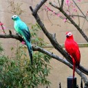 Parrot Decoration C497 6