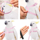 Parrot Harness with Leash 200 cm Adjustable Belly and Neck Strap 32 x 9.5 cm Secure Attachment Comfortable Shoulder Strap 0.8 cm 6