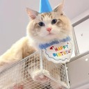 Párty obleček pro psy a kočky s čepičkou a výšivkou Happy Birthday Narozeninový kostým 4