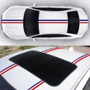 Pegatina para coche tricolor 6