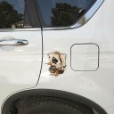 Pegatinas para coche - tarjetas 3
