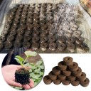Pellets de tourbe pour semis 2