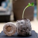 Pellets de tourbe pour semis 4