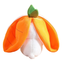 Peluche Lapin dans une carotte/fraise 5
