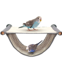 Peluche pour perroquets Hamac pour oiseaux de cage 19 x 13 cm 1