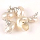 Pendentif avec coquillage marin 5 pcs 1