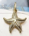 Pendentif étoile de mer pour femme 1