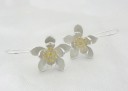 Pendientes colgantes de flores para mujer 5